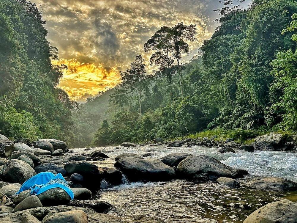 Batu Kapal Guest House & Jungle Trekking Bukit Lawang Exterior foto