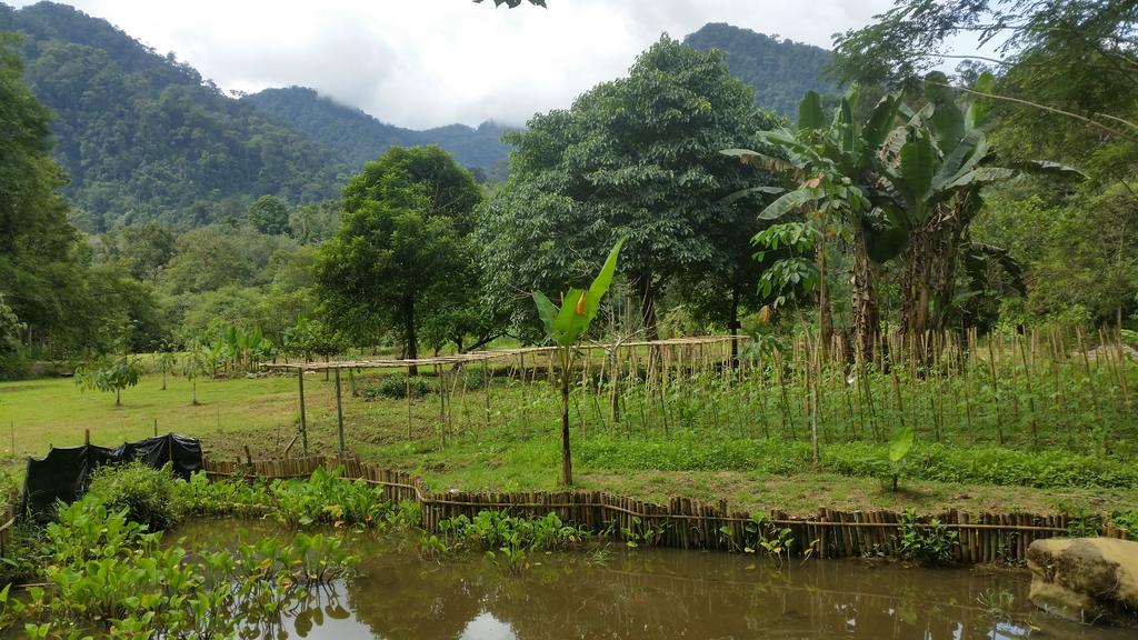 Batu Kapal Guest House & Jungle Trekking Bukit Lawang Exterior foto