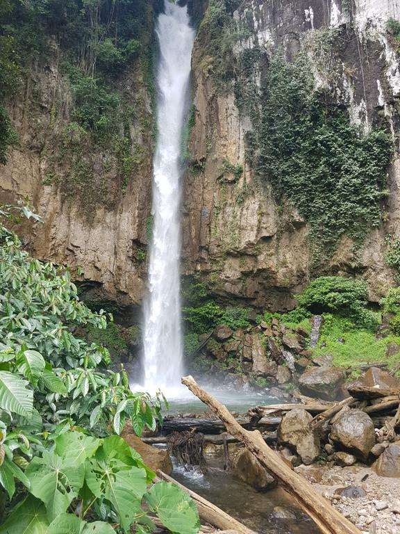 Batu Kapal Guest House & Jungle Trekking Bukit Lawang Exterior foto
